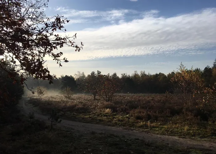 Veluwe Park Reewold Talisman