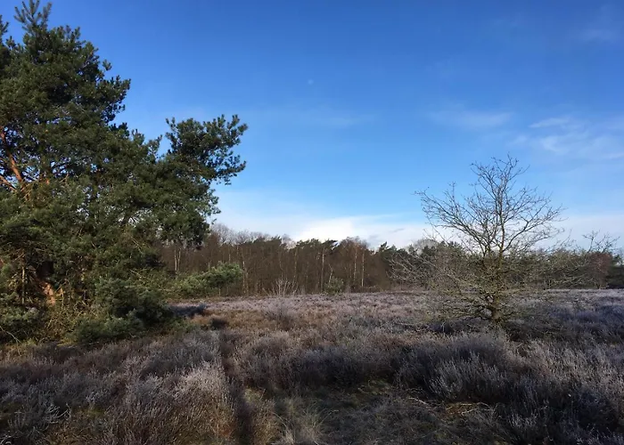 Veluwe Park Reewold Talisman Putten