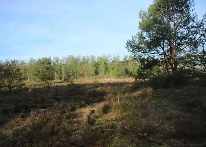 Veluwe Park Reewold Talisman Chalet Putten